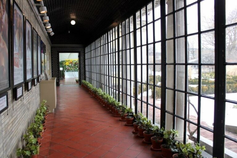 Flowers lining the corridor