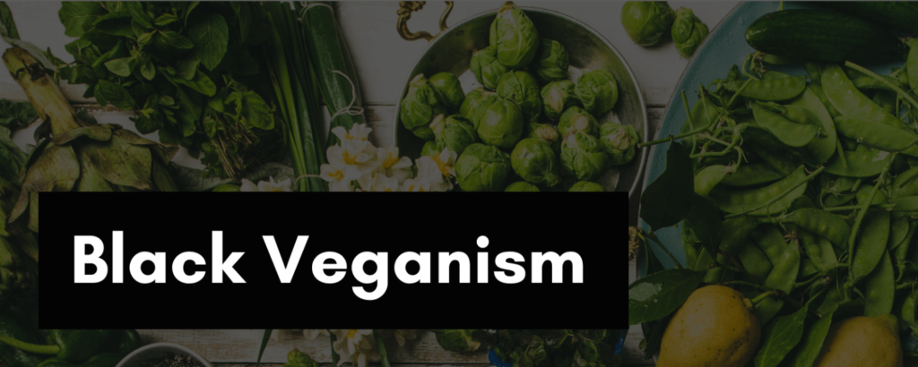 Black Veganism Class at 540WMain