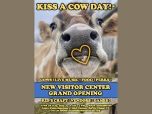 Kiss A Cow Day Festival poster