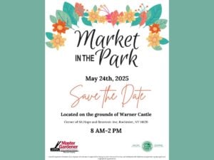 Market in the Park poster